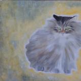 Small Cat