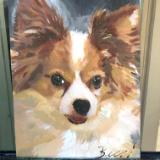 Pet portraits 