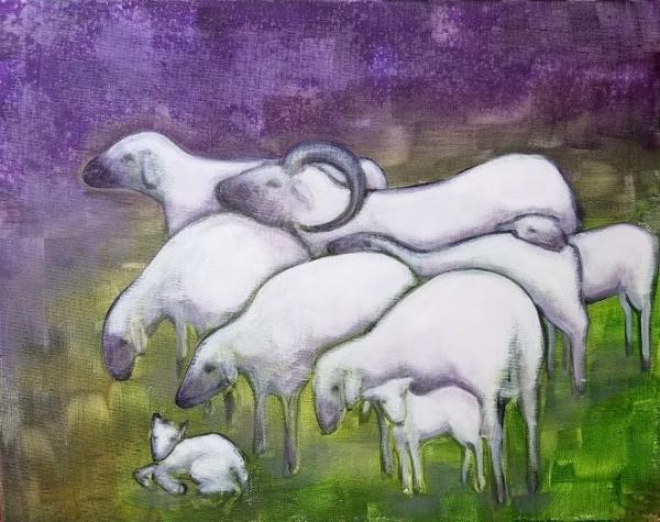 Sheep Herd