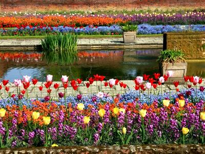 Sunken Gardens Sunken Gardens