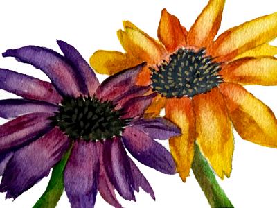 Two Daisies Two Daisies