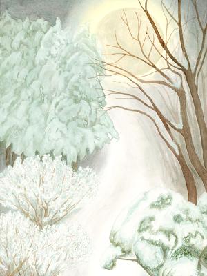 Snow Path to the Moon Snow Path to the Moon