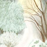 Snow Path to the Moon