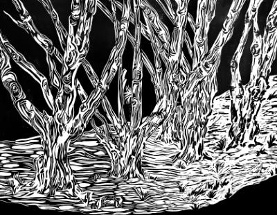 Maryhurst Tree Trunks Maryhurst Tree Trunks