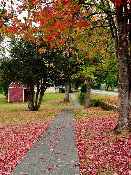 Autumn in Port Gamble, WA