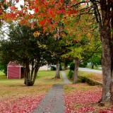 Autumn in Port Gamble, WA