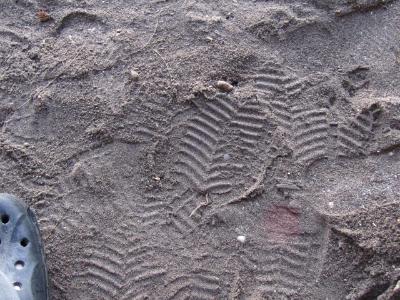 I left my footprints on Gili. Hope they are still there if I return