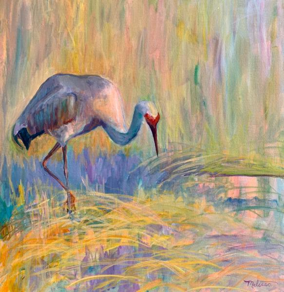 Sandhill Crane