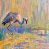 Sandhill Crane