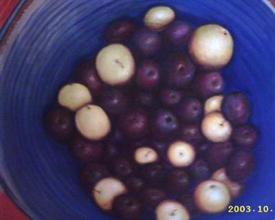 Summer plums