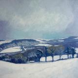 Weare Giffard in the snow