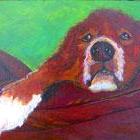 fine art pet portraits