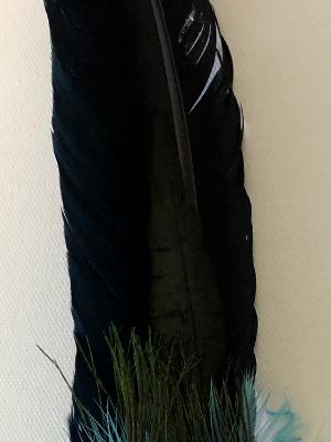 Saging Feather 4