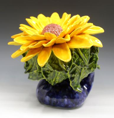 Sunflower Sunflower
