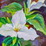 Nature Paintings Nature Paintings