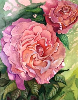 English Roses English Roses