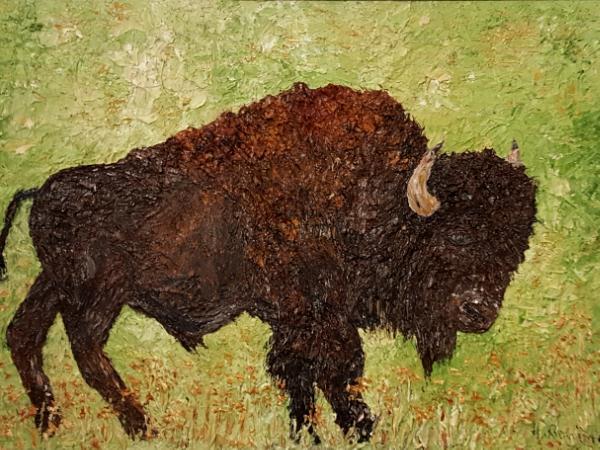 Buffalo (Sold)