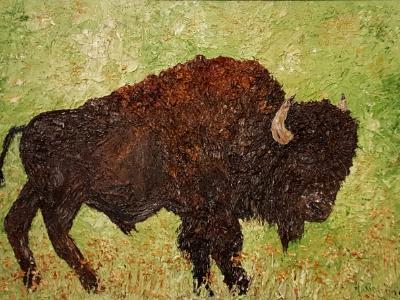 Buffalo (Sold)