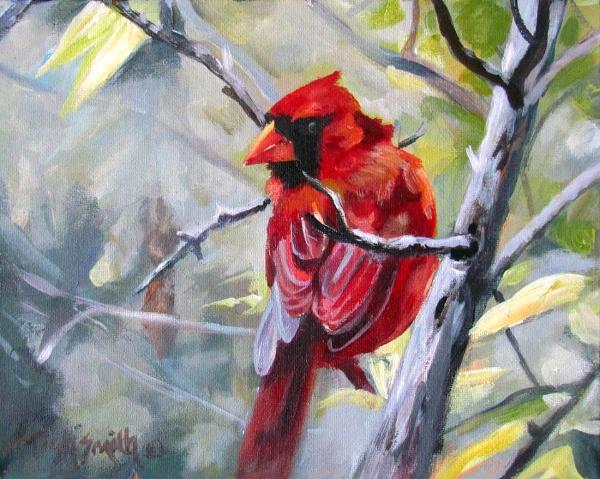 Cardinal at Mud Lake 