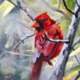 Cardinal at Mud Lake 