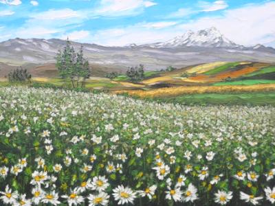 Flower field of the Altar mountain, 60cm x 40cm, 2013 Flower field of the Altar mountain, 60cm x 40cm, 2013