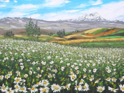 Flower field of the Altar mountain,  60cm x 40cm, 2013