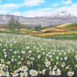 Flower field of the Altar mountain,  60cm x 40cm, 2013