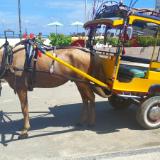 No motorized vehicles allowed. This is taxi