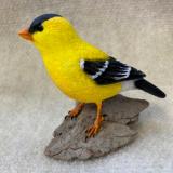 Goldfinch #31 Tabletop mount