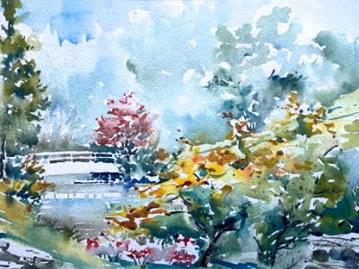 Twin Oaks Park 10.8.16 Twin Oaks Park 10.8.16