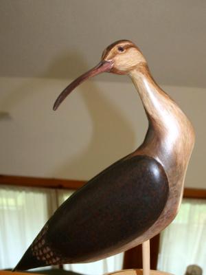 Hand Carved Preening Curlew