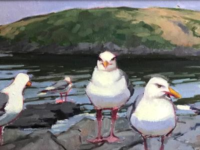 Manana Gulls, Cloudy day 12x24" oil sold Manana Gulls, Cloudy day 12x24" oil sold