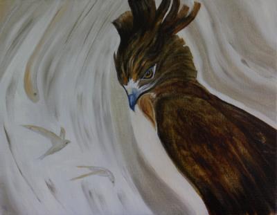 Hawk