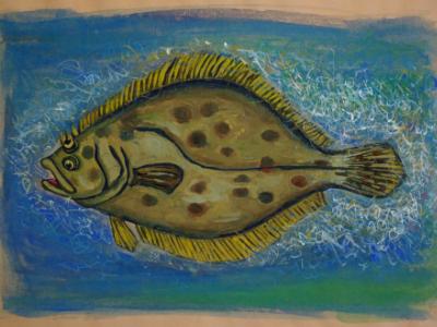 Summer Flounder
