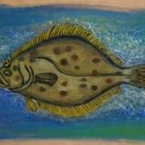 Summer Flounder
