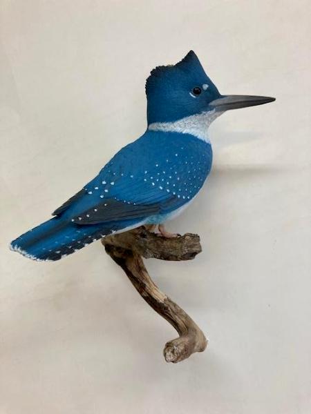 Life size Kingfisher 