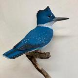 Life size Kingfisher 