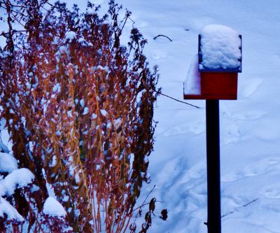 Birdhouse at sunset. Adjala. Dec.23,2017.