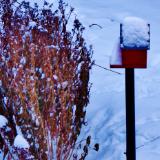 Birdhouse at sunset. Adjala. Dec.23,2017.