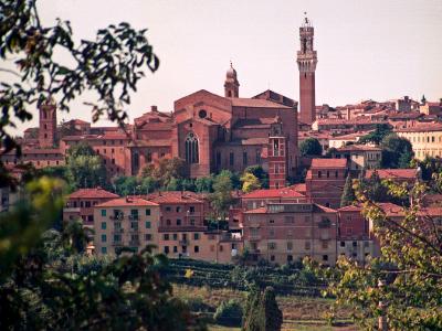 Scenic View with Mangia Tower