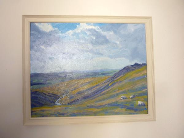 Overlooking Tavy Cleave, Dartmoor