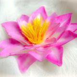  Flower Sculptures