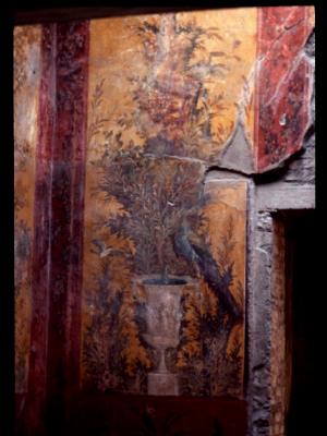 Oplontis, Villa di Poppeia