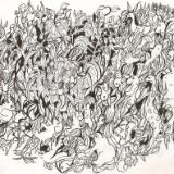 Hidden Objects