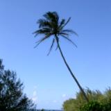Above Ke'e Above Ke'e