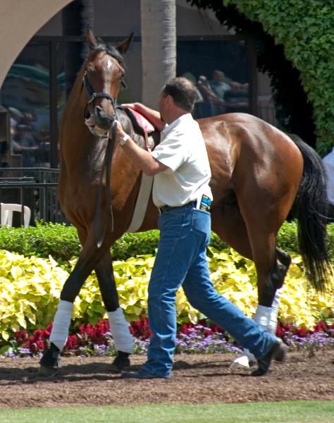 Thoroughbred and Trainer