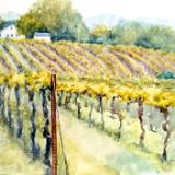 Beazley Watercolors
