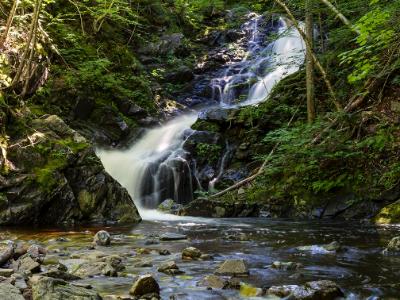 Silky Macintosh Brook Silky Macintosh Brook