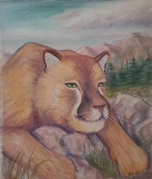 Cougar Portrait 