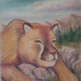 Cougar Portrait 